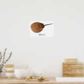 Hoefijzer krab cartoon illustratie poster (Keuken)