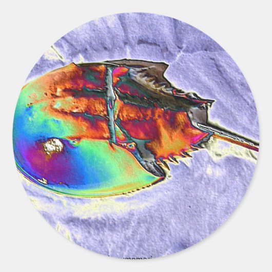 Hoefijzer krab Folie ontwerp Ronde Sticker (Voorkant)