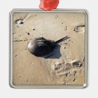 hoefijzer krab metalen ornament