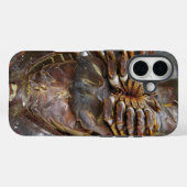 Hoefijzer krab ... Thai Asian Street Food Case-Mate iPhone Case (Achterkant (horizontaal))