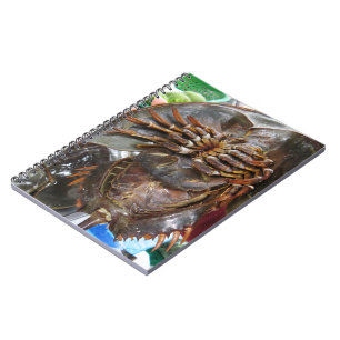 Hoefijzer krab ... Thai Asian Street Food Notitieboek