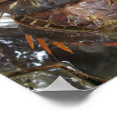 Hoefijzer krab ... Thai Asian Street Food Poster (Hoek)