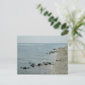 Hoefijzer krabben langs het strand briefkaart (Staand voorkant)