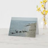 Hoefijzer Krabben langs strand Kaart (Gele Bloem)