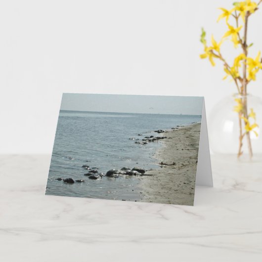 Hoefijzer Krabben langs strand Kaart (Gele Bloem)