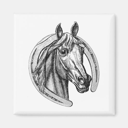  Hoefijzer & Paardenkoelkastmagneet Magneet (Voorkant)