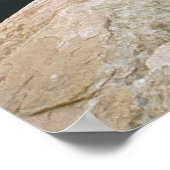 Hoefijzer Poster (Hoek)