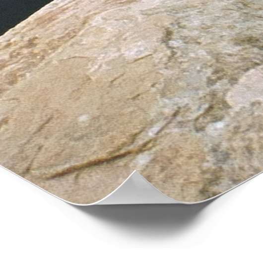 Hoefijzer Poster (Hoek)