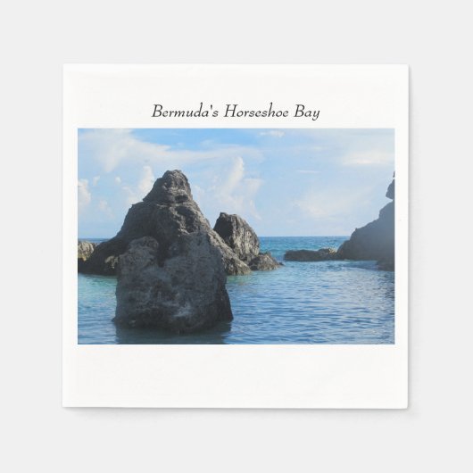 Hoefijzer van Bermuda Servet (Voorkant)