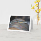 Hoefijzer zweepslang kaart (Gele Bloem)