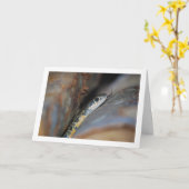 Hoefijzer zweepslang kaart (Gele Bloem)