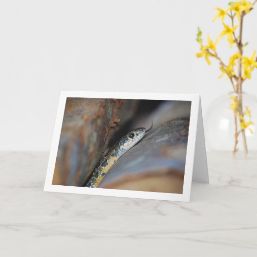 Hoefijzer zweepslang kaart (Gele Bloem)