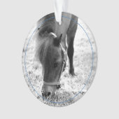 Hoefijzers Blauw Paard NAAM Huisdier Foto Keepsake Ornament (voorkant)