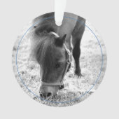 Hoefijzers Blauw Paard NAAM Huisdier Foto Keepsake Ornament (voorkant)