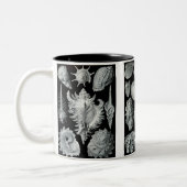 Hoefijzers krabben, trilobites en slakken tweekleurige koffiemok (Links)