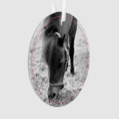 Hoefijzers Roze Pet Horse NAAM Foto Keepsake Ornament (voorkant)