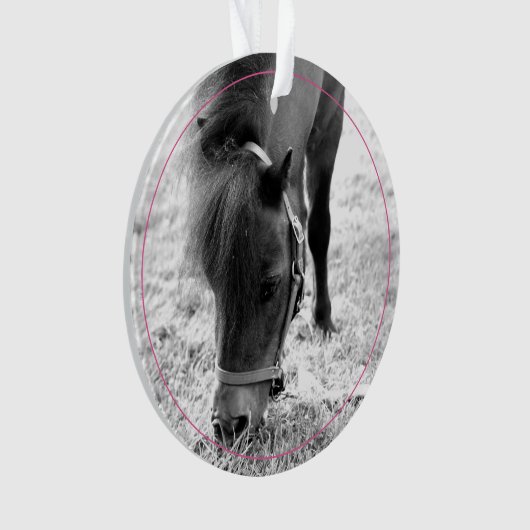 Hoefijzers Roze Pet Horse NAAM Foto Keepsake Ornament (voorkant)