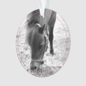 Hoefijzers Roze Pet Horse NAAM Foto Keepsake Ornament (voorkant)
