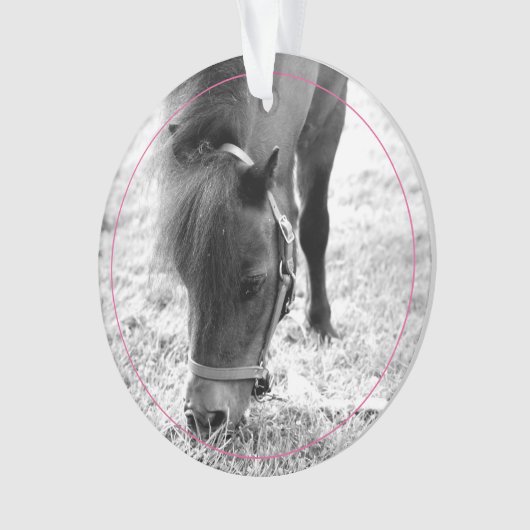 Hoefijzers Roze Pet Horse NAAM Foto Keepsake Ornament (voorkant)