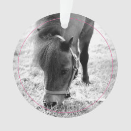 Hoefijzers Roze Pet Horse NAAM Foto Keepsake Ornament