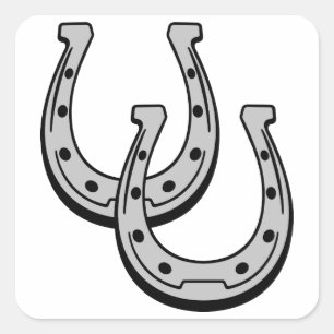 HOEFIJZERS VIERKANTE STICKER