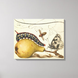 Hoefnagel Vintage Peer & Insecten 1500s Renaissanc Canvas Afdruk