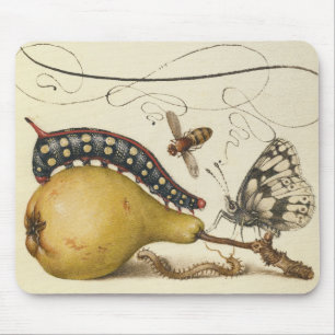 Hoefnagel Vintage Peer & Insecten 1500s Renaissanc Muismat