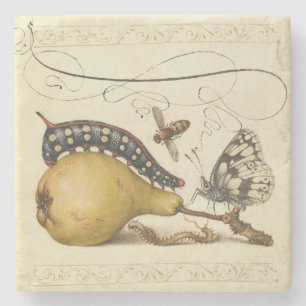 Hoefnagel Vintage Peer & Insecten 1500s Renaissanc Stenen Onderzetter