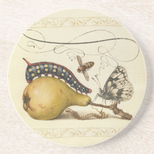 Hoefnagel Vintage Peer & Insecten 1500s Renaissanc Zandsteen Onderzetter