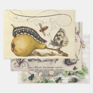 Hoefnagel Vintage Peren & Insecten 1500s Renaissan Inpakpapier Vel