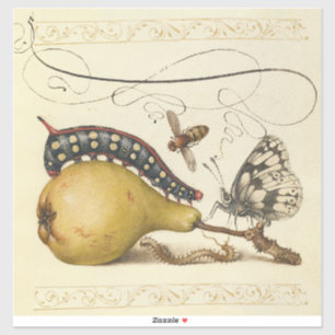 Hoefnagel Vintage Peren & Insecten 1500s Renaissan Sticker