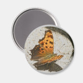 Hoek Wing Comma Butterfly Magnet (Voorkant / Achterkant)