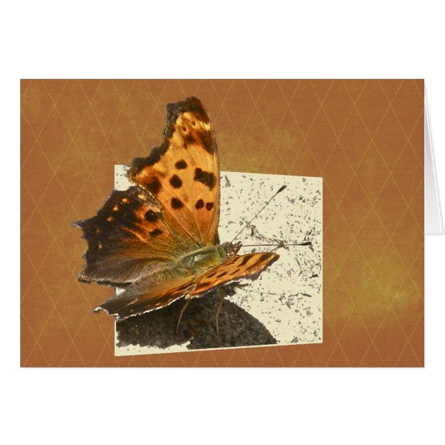 Hoek Wing Comma Butterfly-reeks (Voorkant Horizontaal)