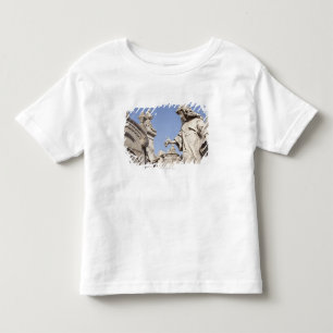Hoekbeeld dicht bij La Recoleta begraafplaats Kinder Shirts