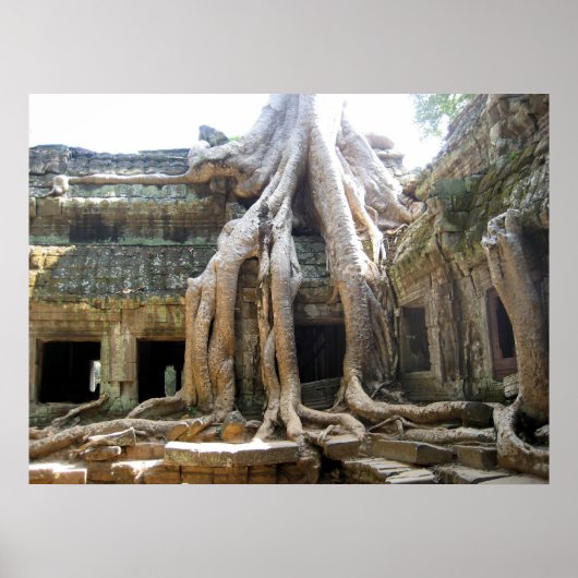 Hoekboom Poster (Voorkant)