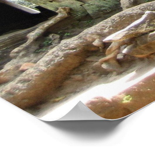 Hoekboom Poster (Hoek)