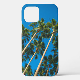Hoekperspectief van een groep hoge dunne palmbomen iPhone 12 hoesje