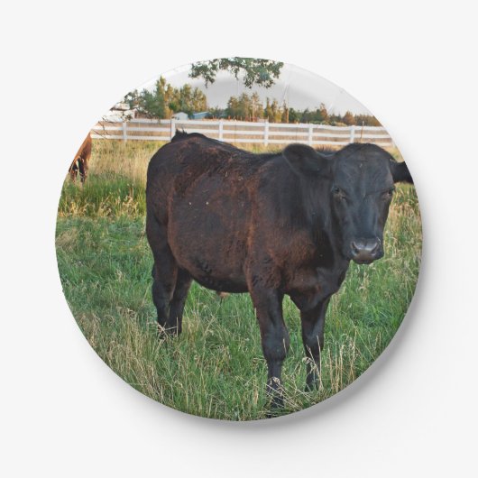 Hoekstaal op groene velden papieren bordje (Voorkant)