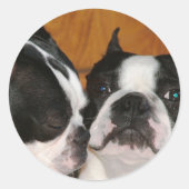 Hoesje 2009 ronde sticker (Voorkant)