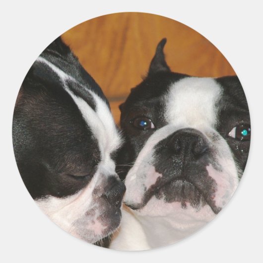 Hoesje 2009 ronde sticker (Voorkant)