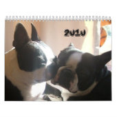 Hoesje 2010, 2010 kalender (Hoes)