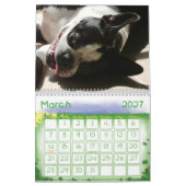 Hoesje 2010, 2010 kalender (Mar 2027)