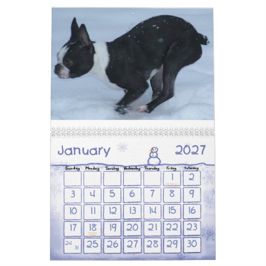Hoesje 2010, 2010 kalender (Jan 2027)