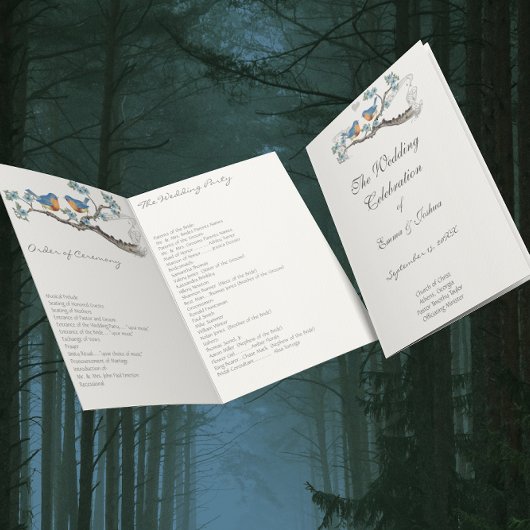 Hoesje  Bluebird Programme