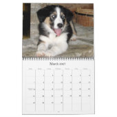 Hoesje, de Jack-Jack kalender van 2007, Corley is (Mar 2027)