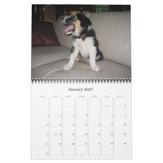 Hoesje, de Jack-Jack kalender van 2007, Corley is (Jan 2027)