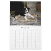Hoesje, de Jack-Jack kalender van 2007, Corley is (Feb 2027)