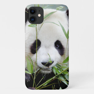 Hoesje Foto: reuzenpanda, panda geant, dieren.