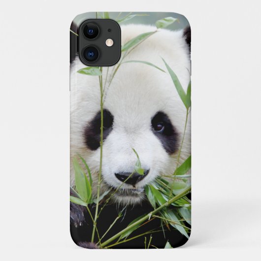 Hoesje Foto: reuzenpanda, panda geant, dieren. (Achterkant)