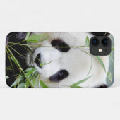 Hoesje Foto: reuzenpanda, panda geant, dieren. (Achterkant (horizontaal))